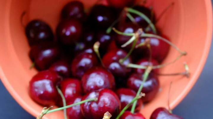 इसके अलावा चेरी, मसाले, पारंपरिक टाइल्स, ड्राई फ्रूट्स, जैतून का तेल, टॉकलेट, हर्बल टी, जेवर, फैशन परिधान आदि भी महंगे होने की पूरी संभावना है.