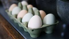 Eggs : मधुमेही रुग्णांसाठी अंडी खाणे योग्य आहे का? जाणून घेऊया!