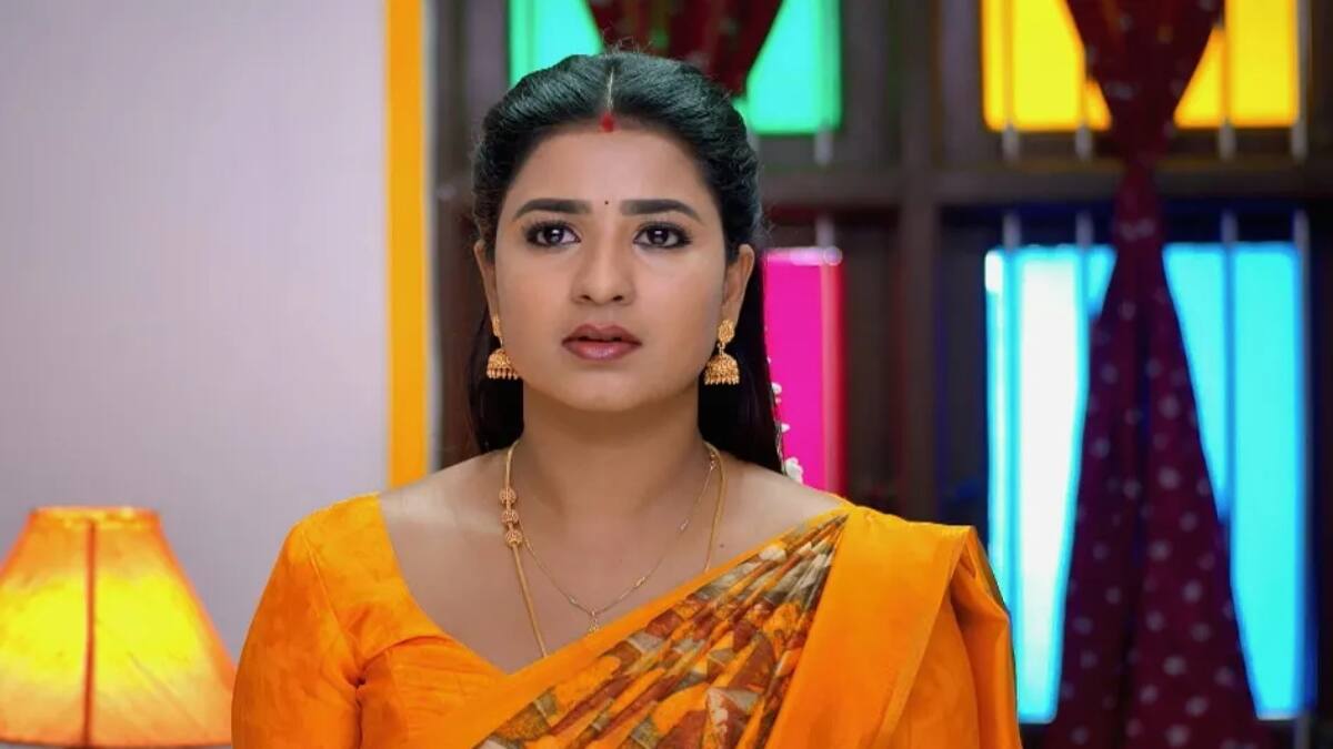 Karthigai Deepam: ரோகிணி கர்ப்பம்... சாமுண்டீஸ்வரி தலையில் இடியை இறக்கிய ஜோசியர்! கார்த்திகை தீபம் அப்டேட்!