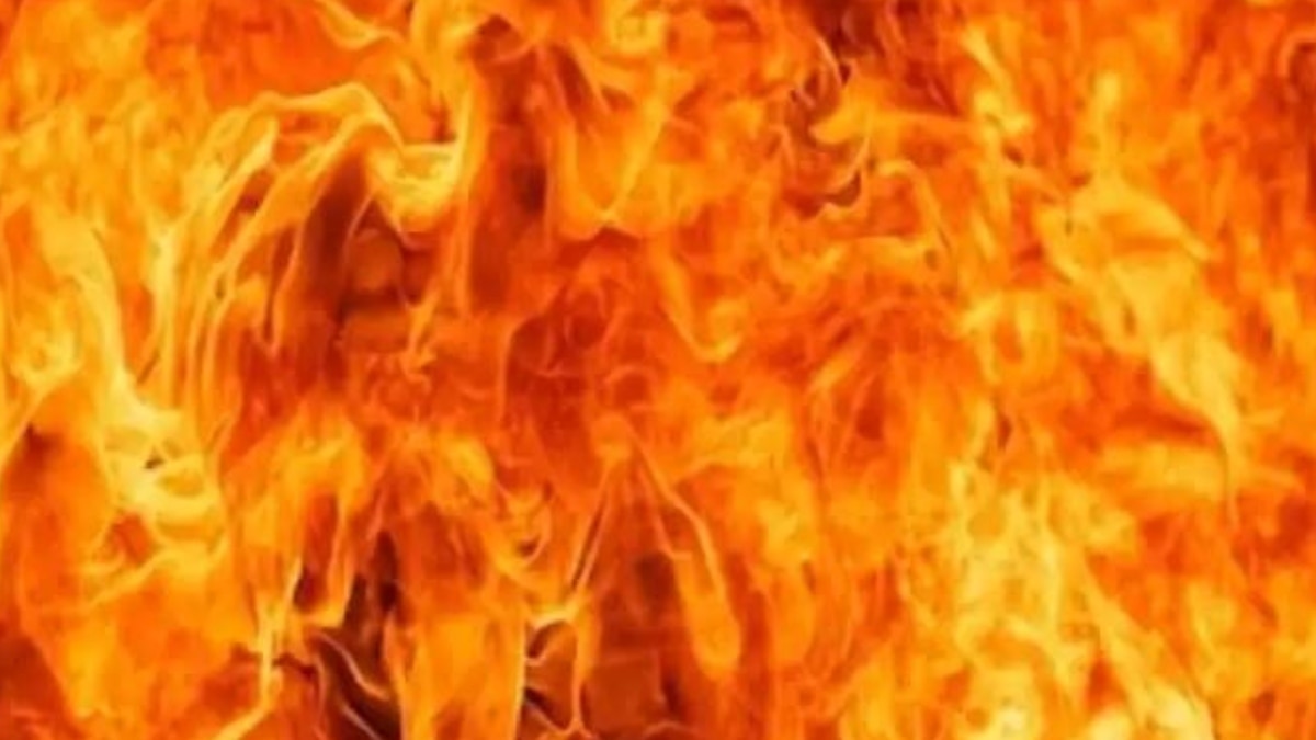 Delhi Fire: दिल्ली के शाहदरा में ई-रिक्शा चार्ज करते समय इमारत में लगी आग, 2 बच्चे समेत 6 झुलसे