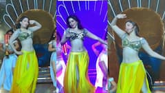 अभिनेत्री तमन्ना भाटीयाचा भन्नाट डान्स, Zee Cine Awards चा स्टेज दणाणून सोडला; पाहा व्हिडीओ