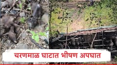 चरणमाळ घाटात भीषण अपघात; जनावरांनी भरलेला ट्रक पलटला, 26 रेड्यांचा मृत्यू, ट्रकचालक जखमी
