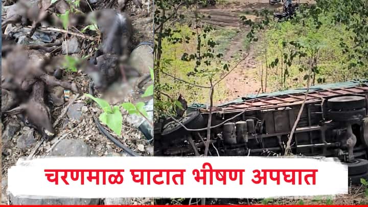 गुजरातकडे निघालेला जनावरांचा ट्रक घाटातील तीव्र वळणावर उलटला आणि सुमारे 26 रेडे जागीच मृत्युमुखी पडले. ट्रकचालक गंभीर जखमी झाला आहे.
