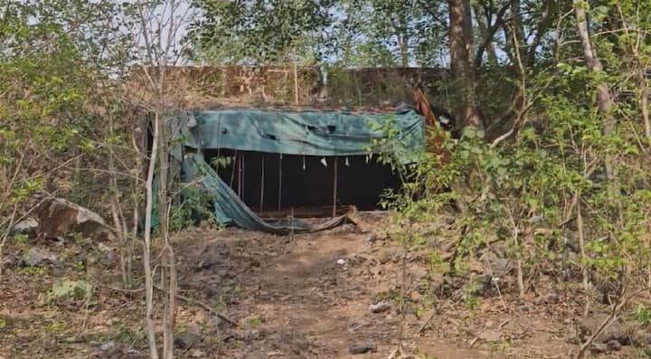 सकाळच्या सुमारास हा अपघात झाला. पिंपळनेर येथून म्हशी, वासरे आणि रेडे घेऊन एक ट्रक गुजरातकडे निघाला होता. मात्र, चरणमाळ घाटात आल्यानंतर ट्रक चालकाचे वाहनावरील नियंत्रण सुटले.