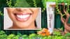 Do Herbal Toothpastes Help In Preventing Tooth Decay, Gum Diseases?