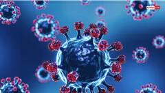 Covid-19 in India: ਡਰਨਾ ਨਹੀਂ ਪਰ ਮੁੜ ਆਇਆ ਹੈ ਕੋਰੋਨਾ....! ਤੇਜ਼ੀ ਨਾਲ ਵਧ ਰਹੇ ਨੇ ਮਾਮਲੇ, 2 ਲੋਕਾਂ ਦੀ ਹੋਈ ਮੌਤ, ਹਸਪਤਾਲਾਂ ਅੱਗੇ ਲੱਗੀਆਂ ਕਤਾਰਾਂ