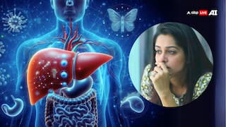Dipika Kakar News: लिवर ट्यूमर से लड़ रहीं दीपिका कक्कड़, जानें क्या है ये जानलेवा बीमारी और इसके लक्षण