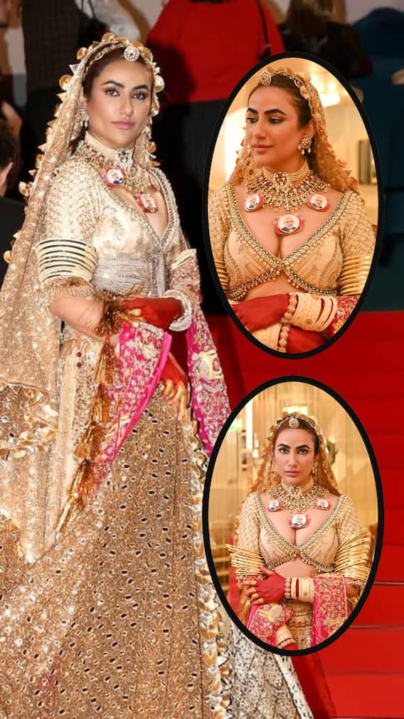 पीएम मोदी की तस्वीरों वाला नेकलेस पहन कान्स में पहुंची ये एक्ट्रेस