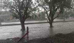 Rajkot Rain: રાજકોટના જેતપુર અને જામકંડોરણામાં તૂટી પડ્યો ધોધમાર વરસાદ