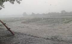 Amreli Rain: અમરેલી જિલ્લાના વાતાવરણમાં પલટો, ખાંભા-સાવરકુંડલામાં ગાજવીજ સાથે વરસાદ