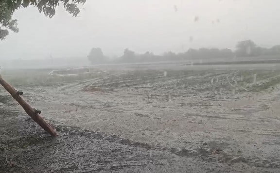 અમરેલી: ગુજરાતમાં છેલ્લા ઘણા સમયથી કમોસમી વરસાદ વરસી રહ્યો છે. રાજ્યના અનેક જિલ્લાઓમાં રોજ વરસાદ પડે છે. અમરેલી જિલ્લામાં પણ થોડા દિવસોથી વરસાદી માહોલ યથાવત છે. હવામાન વિભાગની આગાહી વચ્ચે અમરેલી જિલ્લામાં ફરી વરસાદ વરસ્યો છે.