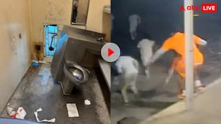 बल्लू तुम्हारी जेल से फरार, टॉयलेट की दीवार में छेद कर हत्या की सजा काट रहे 10 कैदी भागे, वीडियो वायरल