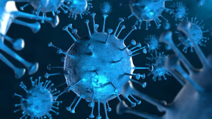 সিঙ্গাপুরে যে হারে সংক্রমণ ছড়াচ্ছে, তার জন্য LF.7, NB.1.8 ভ্যারিয়েন্টকেও দায়ী করা হচ্ছে। LF.7 এবং NB.1.8, কোভিডের এই দুই রূপই Omicron-এর উপজাতি JN.1 থেকে এসেছে।  LF.7, NB.1.8-এ সংক্রমিতদের মধ্য়ে কনজাঙ্কটিভাইটিস, ডায়রিয়াও দেখা যাচ্ছে। খাবারের স্বাদ এবং ঘ্রাণও পাচ্ছেন না অনেকে।