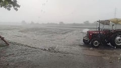Amreli Rain: અમરેલી જિલ્લાના વાતાવરણમાં પલટો, ખાંભા-સાવરકુંડલામાં ગાજવીજ સાથે વરસાદ