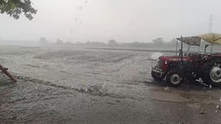 Amreli Rain: અમરેલી જિલ્લાના વાતાવરણમાં પલટો, ખાંભા-સાવરકુંડલામાં ગાજવીજ સાથે વરસાદ