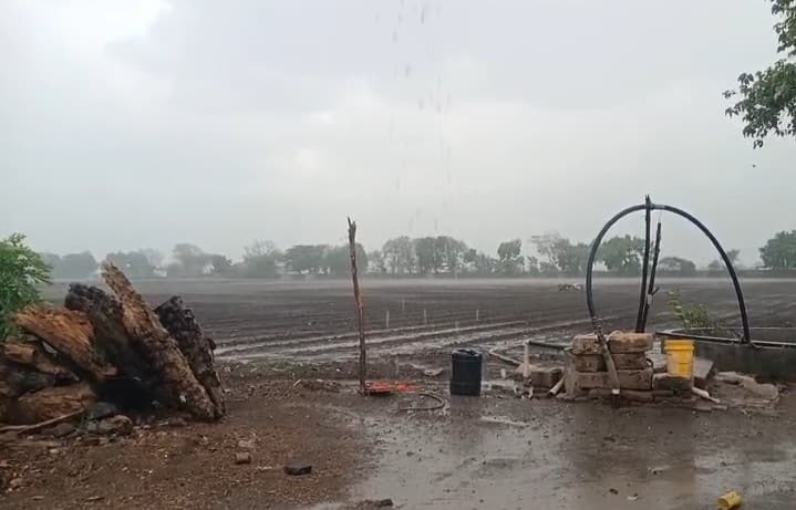 આજે પણ અમરેલી જિલ્લાના વાતાવરણમાં પલટો આવ્યો હતો. અમરેલી જિલ્લાના અનેક તાલુકાઓમાં ગાજવીજ સાથે ધોધમાર વરસાદ વરસ્યો છે.