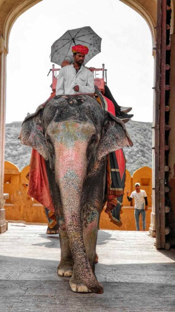 राजस्थान में रहते हैं इस जाति के सबसे ज्यादा लोग