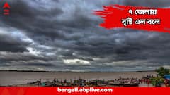 Weather Update : দহন-জ্বালা মিটবে এখনই, এলোমেলো হাওয়া আর কড়কড় বাজ, ৭ জেলায় বৃষ্টি এল বলে