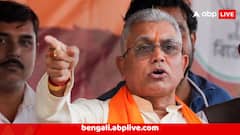 Dilip Ghosh  : 'দেশবিরোধী শক্তিকে এখানে শেল্টার দেয়' জ্যোতির কলকাতা সফর নিয়ে মমতা-সরকারকে খোঁচা দিলীপের