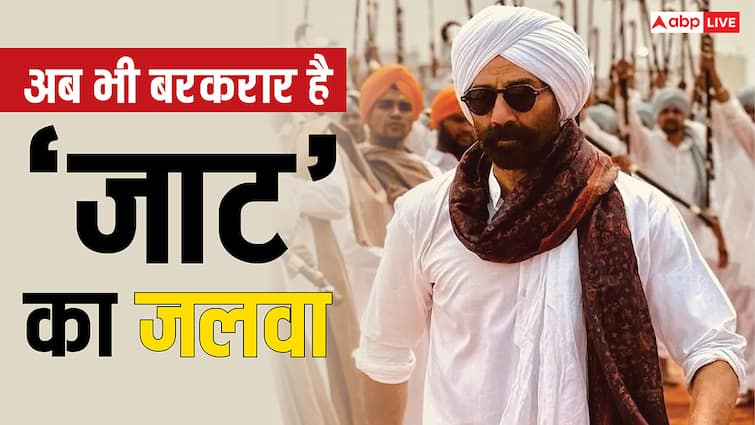 Jaat Box Office Collection: 'रेड 2' क्या, हॉलीवुड फिल्में भी नहीं बिगाड़ पाई 'जाट' का खेल, 39वें दिन भी हुआ इतना कलेक्शन