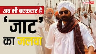 Jaat Box Office Collection: 'रेड 2' क्या, हॉलीवुड फिल्में भी नहीं बिगाड़ पाई 'जाट' का खेल, 39वें दिन भी हुआ इतना कलेक्शन