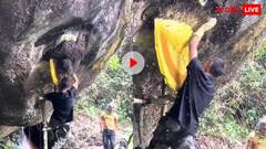 'मधुमक्खियों का देवता', मधुमक्खी के छत्ते को हाथ से तोड़कर शर्ट में डालने लगा शख्स- वीडियो वायरल