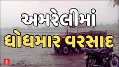 Amreli Unseasonal Rains : અમરેલી જિલ્લામાં કમોસમી વરસાદ તૂટી પડતા ખેડૂતોના જીવ ચોંટ્યા તાળવે