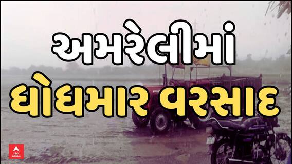 Amreli Unseasonal Rains : અમરેલી જિલ્લામાં કમોસમી વરસાદ તૂટી પડતા ખેડૂતોના જીવ ચોંટ્યા તાળવે