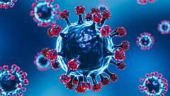 COVID-19 Spike: চরিত্র বদলে ফের হানা, দিব্যি চলছে বংশবিস্তার, নতুন করে কোভিড ছড়ানোর নেপথ্যে JN.1