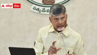 Andhra Pradesh Liquor Scam: నిష్పక్షికంగా లిక్కర్ స్కాం దర్యాప్తు - తప్పు చేసిన వారికి శిక్ష -కేబినెట్ భేటీలో చంద్రబాబు కీలక వ్యాఖ్యలు