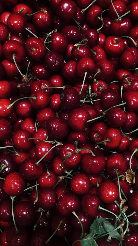 செர்ரி பழம் சாப்பிட்டால் இவ்ளோ நன்மைகளா?