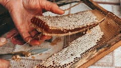 8 DIY Beeswax Products To Try This World Bee Day