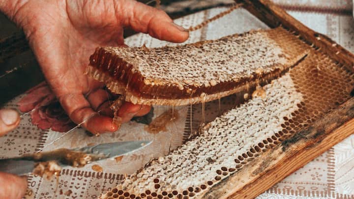 Celebrate World Bee Day by making natural DIY products using beeswax. These organic creations nourish, moisture, and soothe the skin. They offer eco-friendly alternatives for daily care.