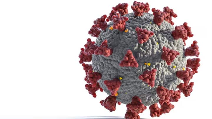 এর ফলে সংক্রমণ যেমন দ্রুত ছড়ায়, তেমনই JN.1-এর প্রতিরোধ ক্ষমতাও অনেক বেশি। অতীতে যদি সংক্রমিত হয়ে থাকেন কেউ, টিকাও যদি নিয়ে থাকেন,তার দরুণ প্রাপ্ত অ্যান্টিবডি JN.1-কে ঠেকাতে পারে না।