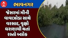 Bhavnagar Heavy Rain : ભાવનગરના જેસરમાં મીની વાવાઝોડા સાથે વરસાદ, વૃક્ષો ધરાશાયી થતાં રસ્તો બ્લોક