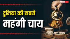 ये है दुनिया का सबसे महंगा टी बैग, इस कीमत में आ जाएगी एक SUV कार
