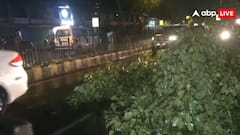 दिल्ली-NCR में भयानक बारिश और तूफान, 80 KM की स्पीड से चली हवाएं; कई इलाकों में गिरे ओले; PHOTOS