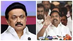 தவழ்ந்து சென்றீர்களா? ஊர்ந்து சென்றீர்களா? முதல்வர் ஸ்டாலினை பங்கமாக கலாய்த்த இபிஎஸ்