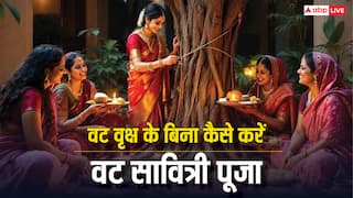 Vat Savitri Vrat 2025: आसपास नहीं है बरगद का वृक्ष तो न लें टेंशन, ऐसे करें वट सावित्री व्रत की पूजा