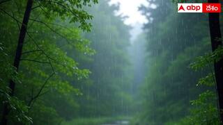 Rains Alert: మరో 3 రోజులపాటు ఆ జిల్లాల్లో మోస్తరు వర్షాలు, దిగొచ్చిన ఉష్ణోగ్రతలు- IMD ఎల్లో అలర్ట్ జారీ