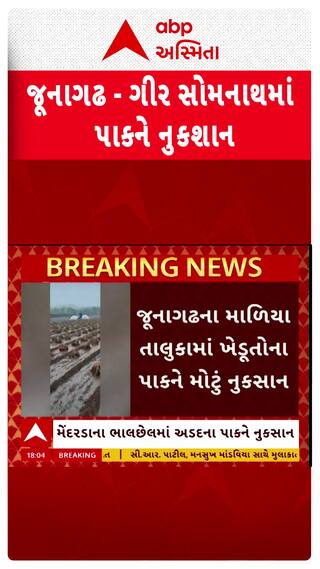 Unseasonal Rains: જૂનાગઢ અને ગીર સોમનાથમાં વરસાદથી પાકને મોટું નુકસાન