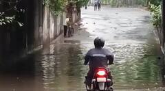 Rain: નેઋત્યનું ચોમાસુ બેસે તે પહેલા સુરતમાં વરસાદી માહોલ, ડભોલી સહિતના વિસ્તારોમાં ભરાયા પાણી