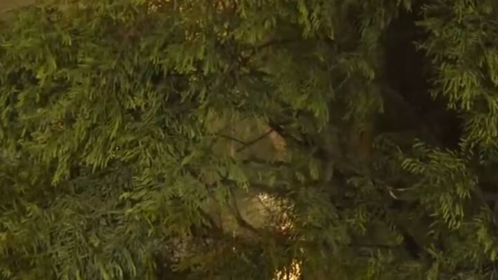 गाजियाबाद में तेज आंधी के साथ बारिश आई. वहीं, बागपत में आंधी तूफान के बाद बारिश आई और कई जगह ओले भी पड़े.