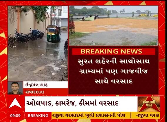 Surat Paddy Crop Damage: ભરઉનાળે વરસાદ તૂટી પડતા ડાંગર પકવતા ખેડૂતોની હાલત કફોડી