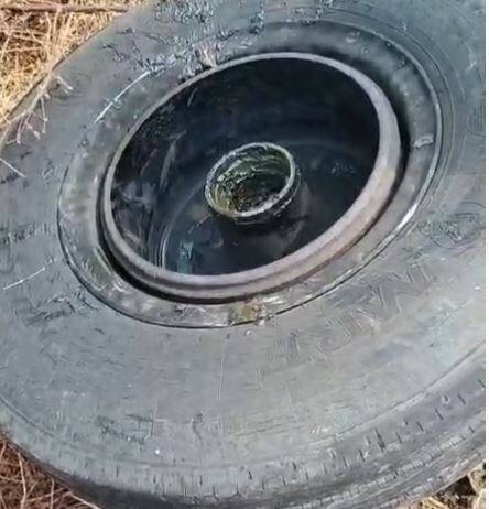 चालकाच्या सावधगिरीने प्रवाशांचे प्राण वाचले आहेत.