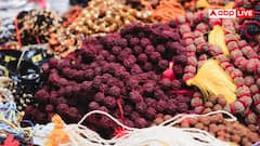 सेहत के लिए अमृत से कम नहीं है रुद्राक्ष का पानी, जानें क्या-क्या होते हैं इसके फायदे