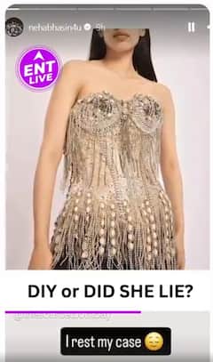 Neha Bhasin Calls Out Nancy Tyagi Over False DIY Claims For A Cannes Dress