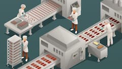 Centre's PLI Scheme For Food Processing Lures Investment Worth Rs 7,000 Crore, Creates 2.5 Lakh Jobs