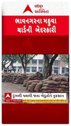 Bhavnagar Unseasonal Rain: ભાવનગરમાં બરબાદીનો વરસાદ, યાર્ડમાંમાં ડુંગળીની બોરીઓ પલળી