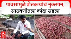 Nashik Onion Farmer Loss : पावसामुळे शेतकऱ्यांचं नुकसान, साठवणीतला कांदा सडला
